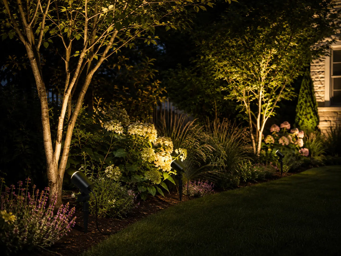 Trees & Garden Beds